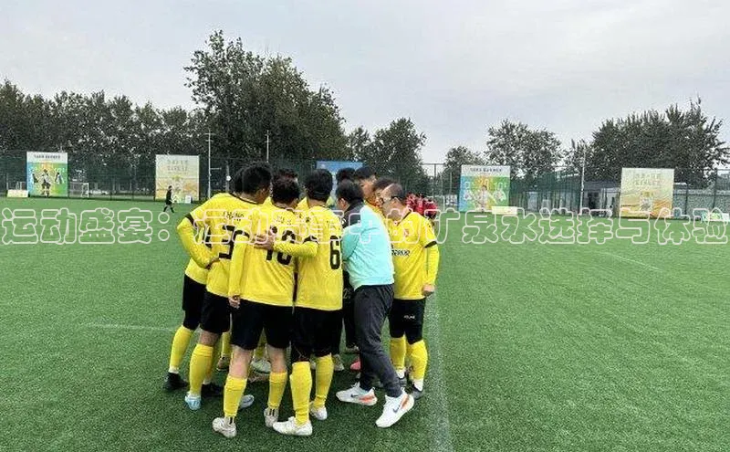 运动盛宴：运动赛事中的矿泉水选择与体验